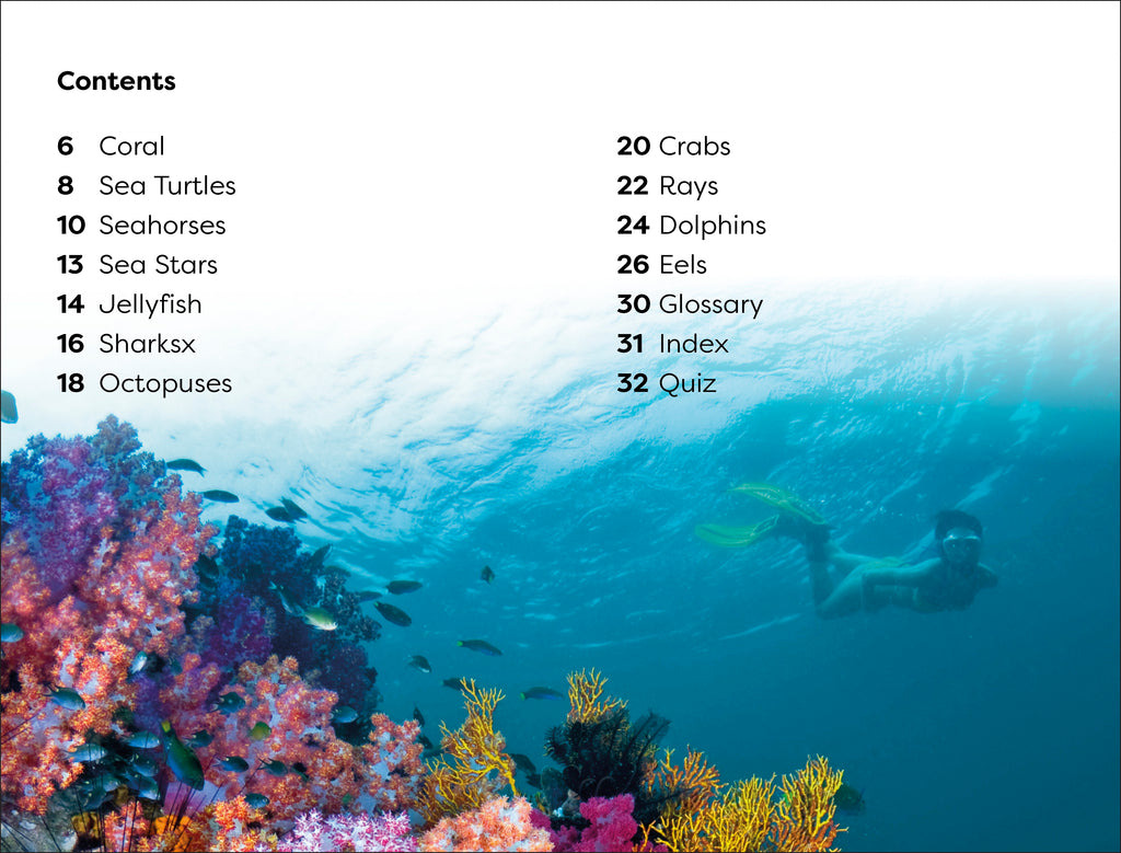 DK Super Readers Level 1 box set-Spread, Image, (PRHC, Design, Do, Not, Use)-3