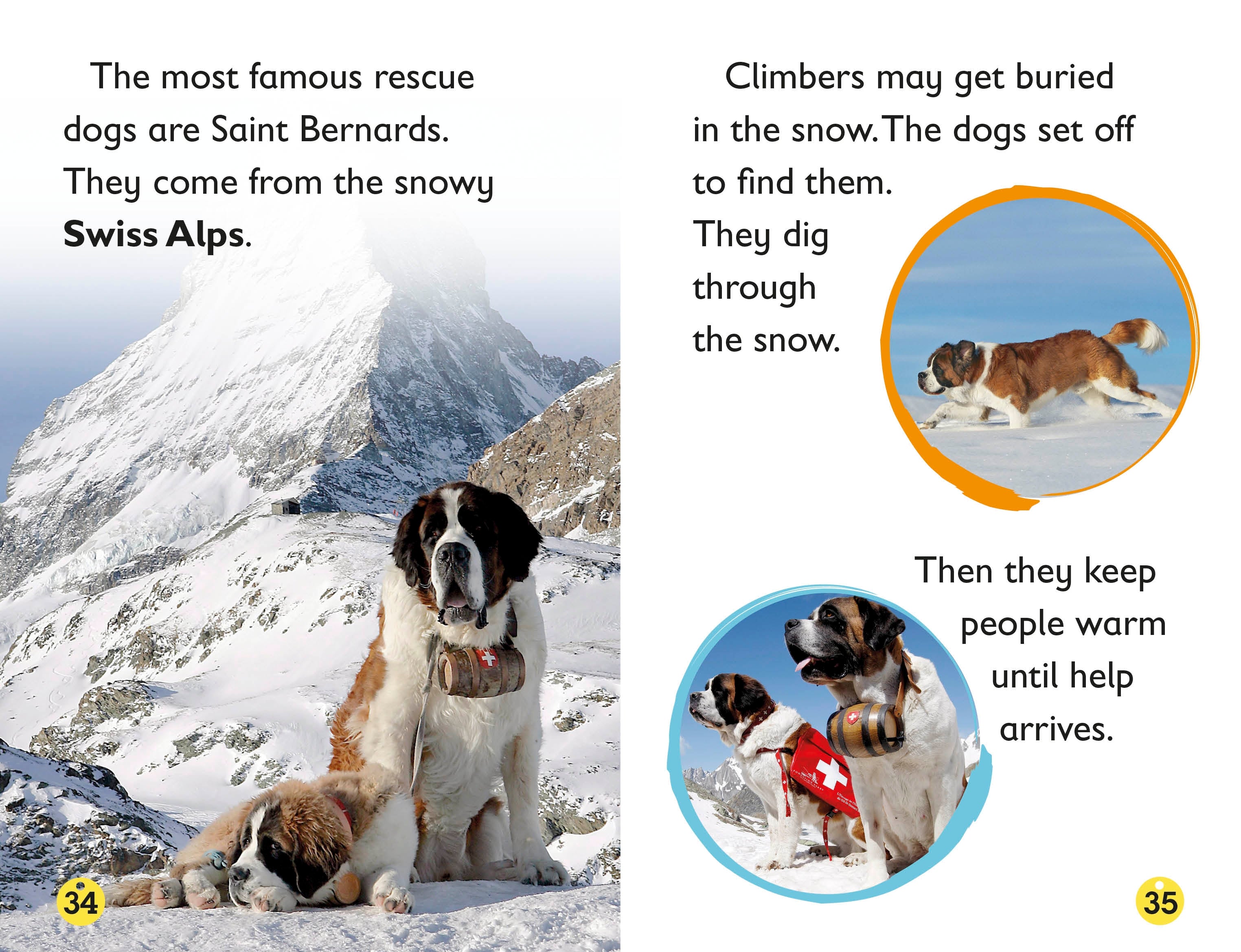 DK Readers L2: Amazing Dogs