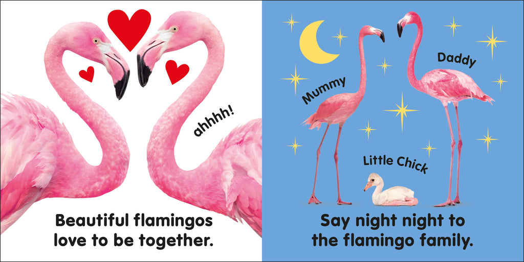 Baby Touch and Feel Flamingo