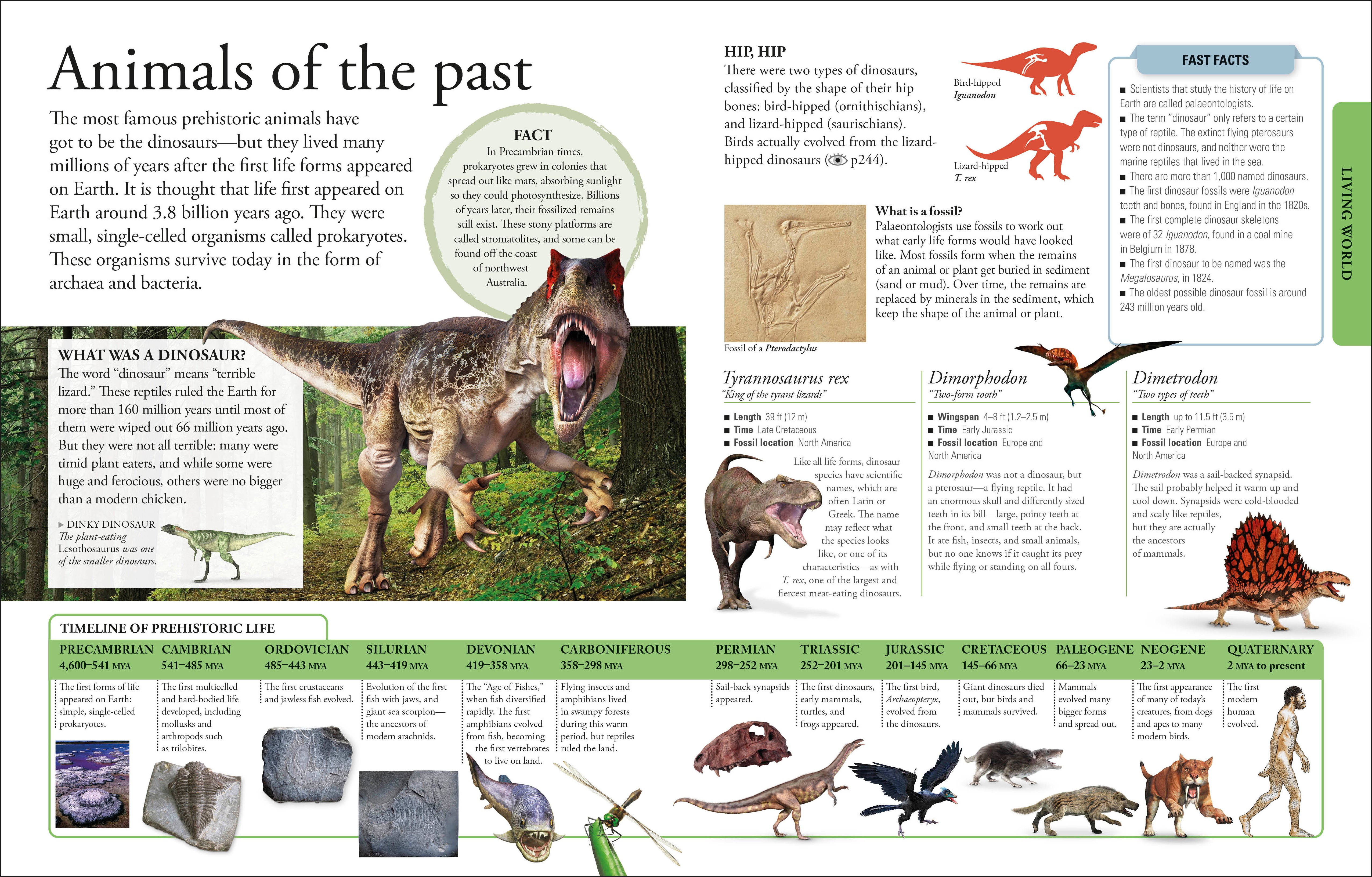 The New Children's Encyclopedia – DK