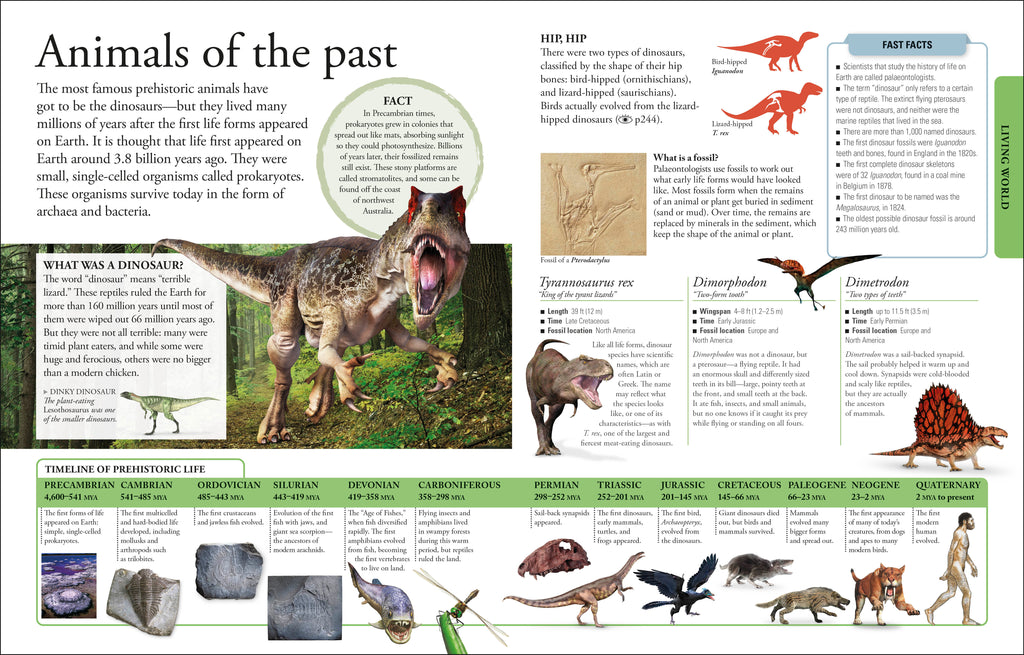 The New Children's Encyclopedia-Spread, Image, (PRHC, Design, Do, Not, Use)-3
