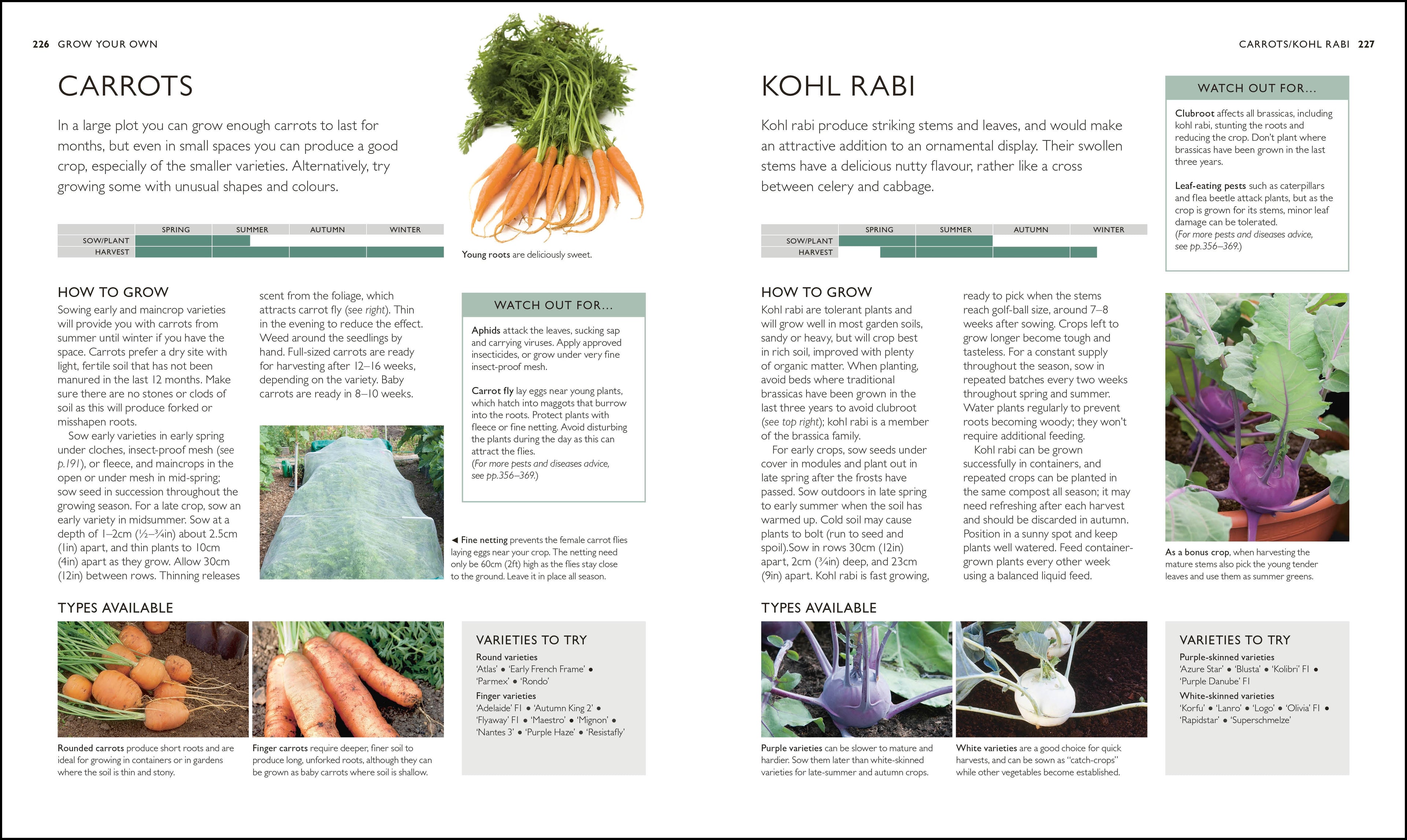 RHS Complete Gardener's Manual