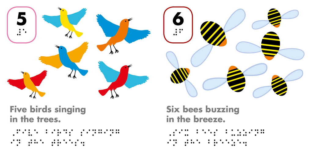 DK Braille: Counting