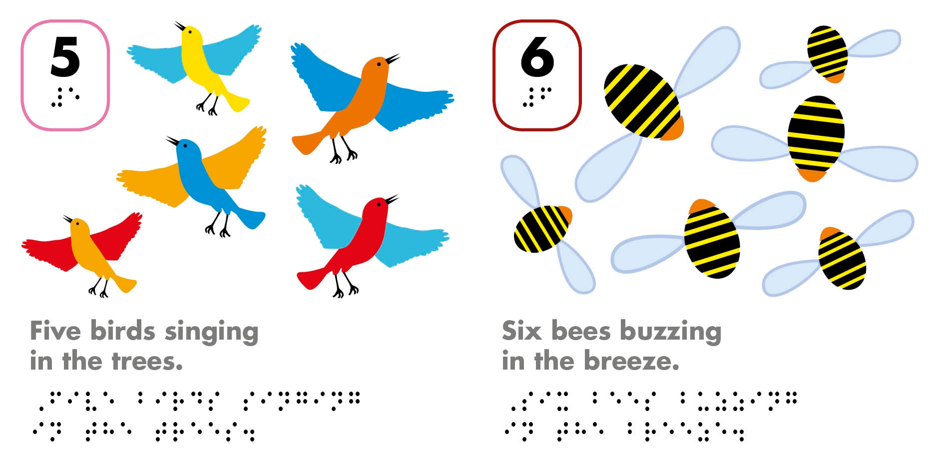 DK Braille: Counting