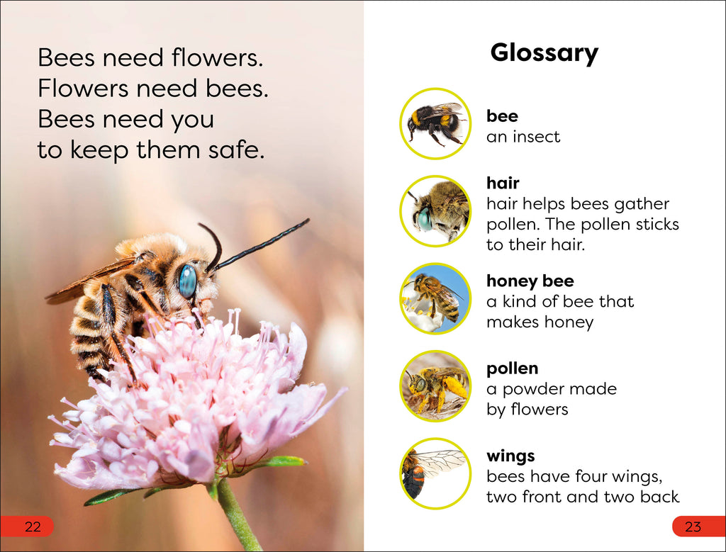 DK Super Readers Pre-Level Save the Bees