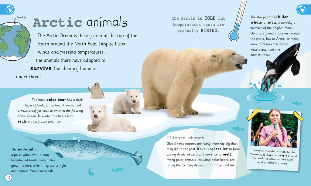 My Encyclopedia of Very Important Oceans