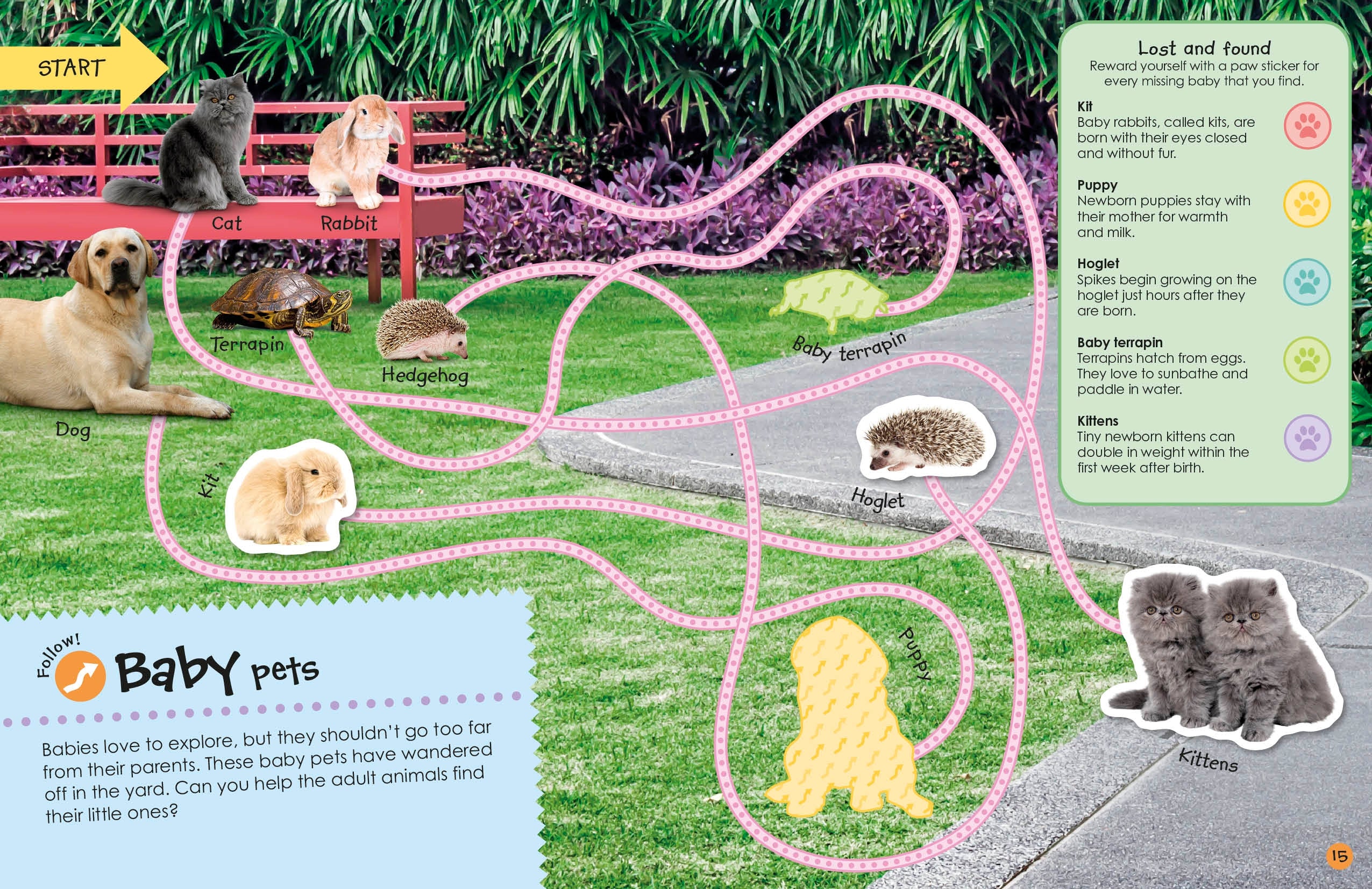 Ultimate Sticker Book: Pets