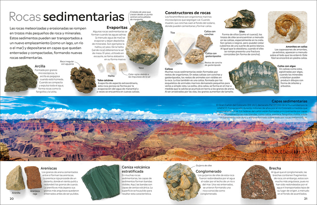Eyewitness: Rocas y minerales (Rock and Mineral)-Spread, Image, (PRHC, Design, Do, Not, Use)-5