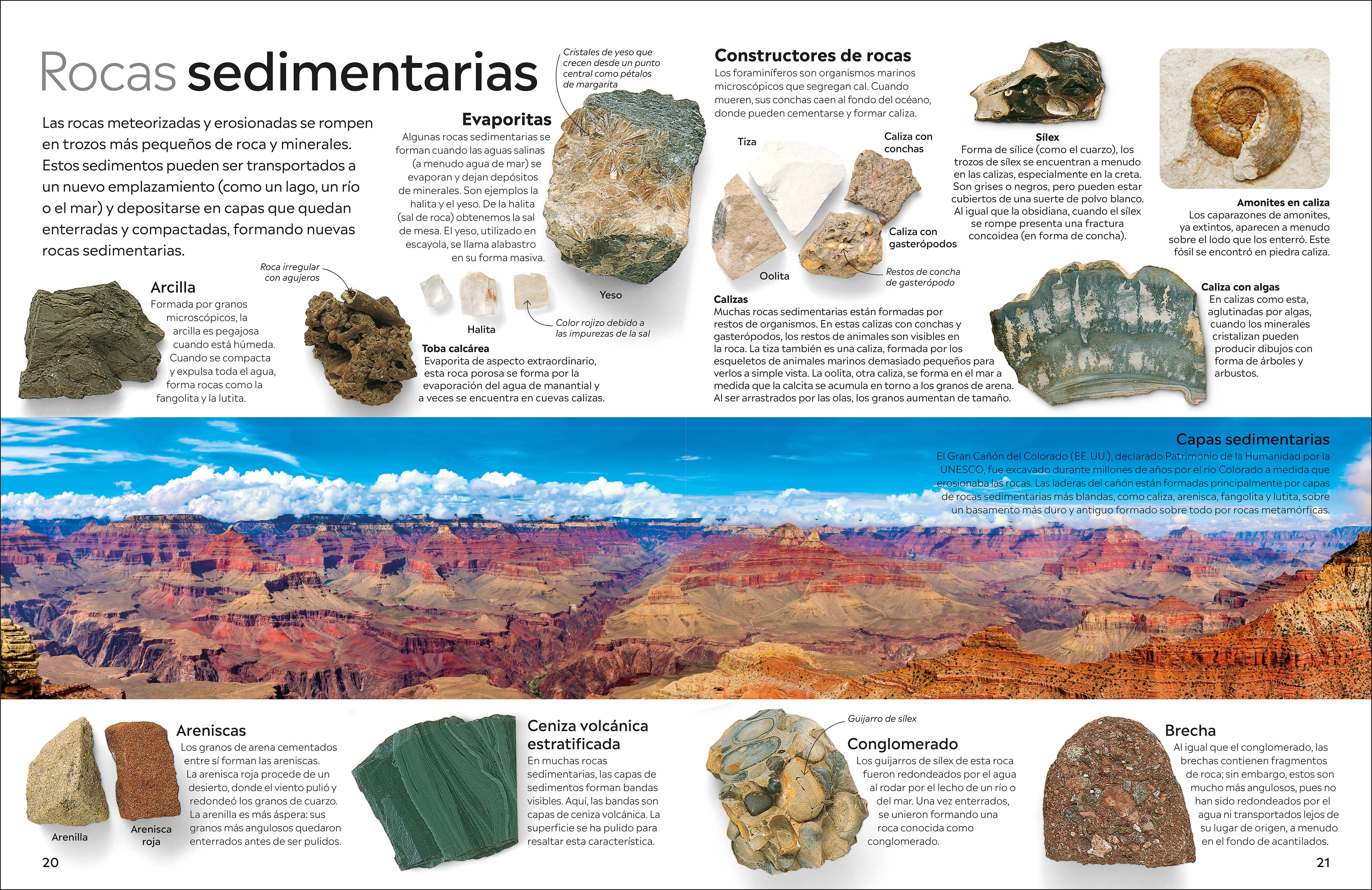 Eyewitness: Rocas y minerales (Rock and Mineral)-Spread, Image, (PRHC, Design, Do, Not, Use)-5