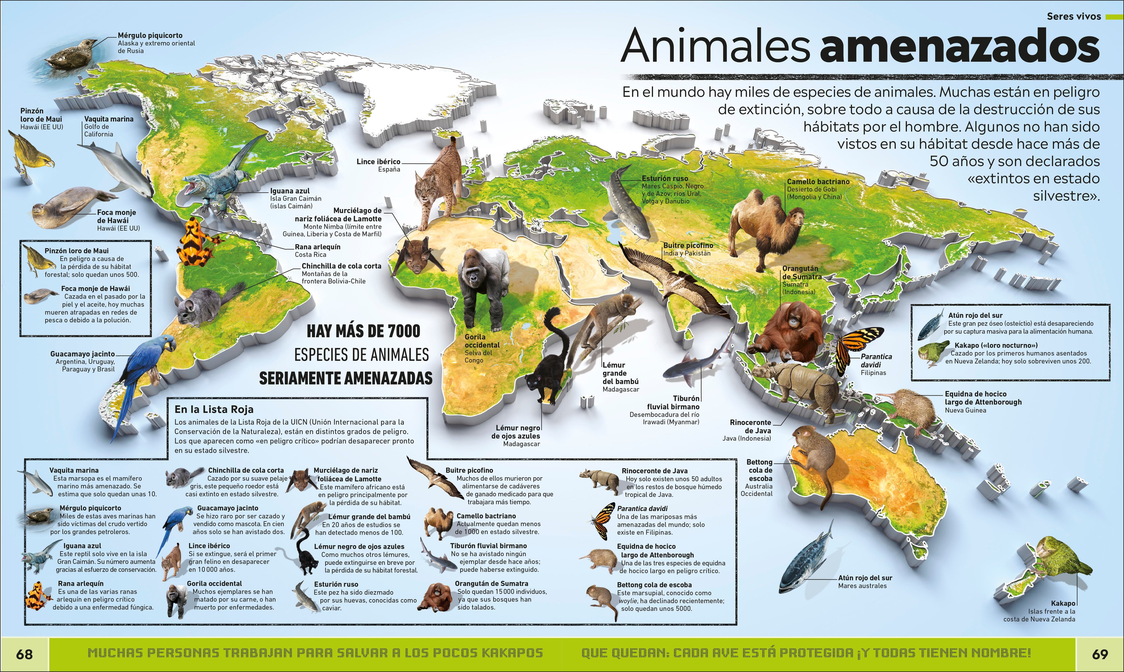 Atlas de curiosidades (Where on Earth?)-Spread, Image, (PRHC, Design, Do, Not, Use)-6