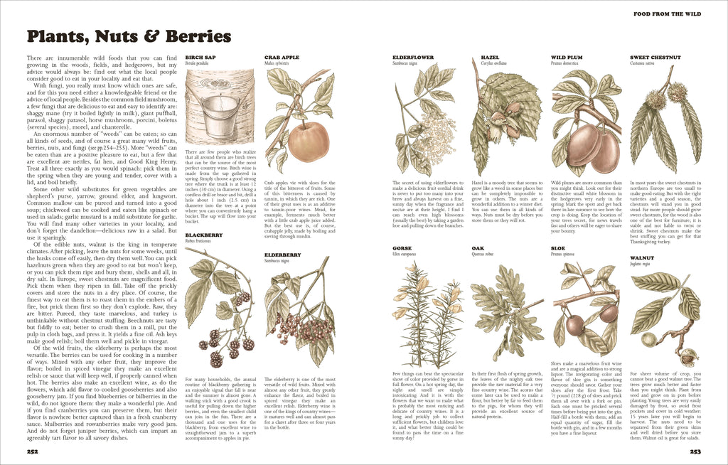 The Self-Sufficient Life and How to Live It-image