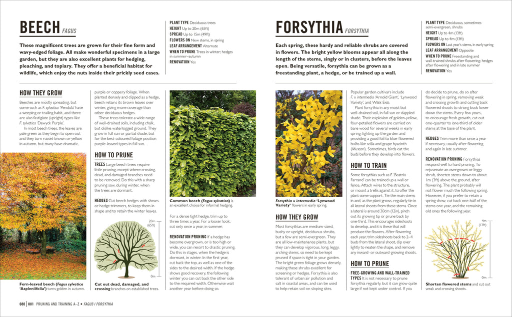 Grow Pruning & Training