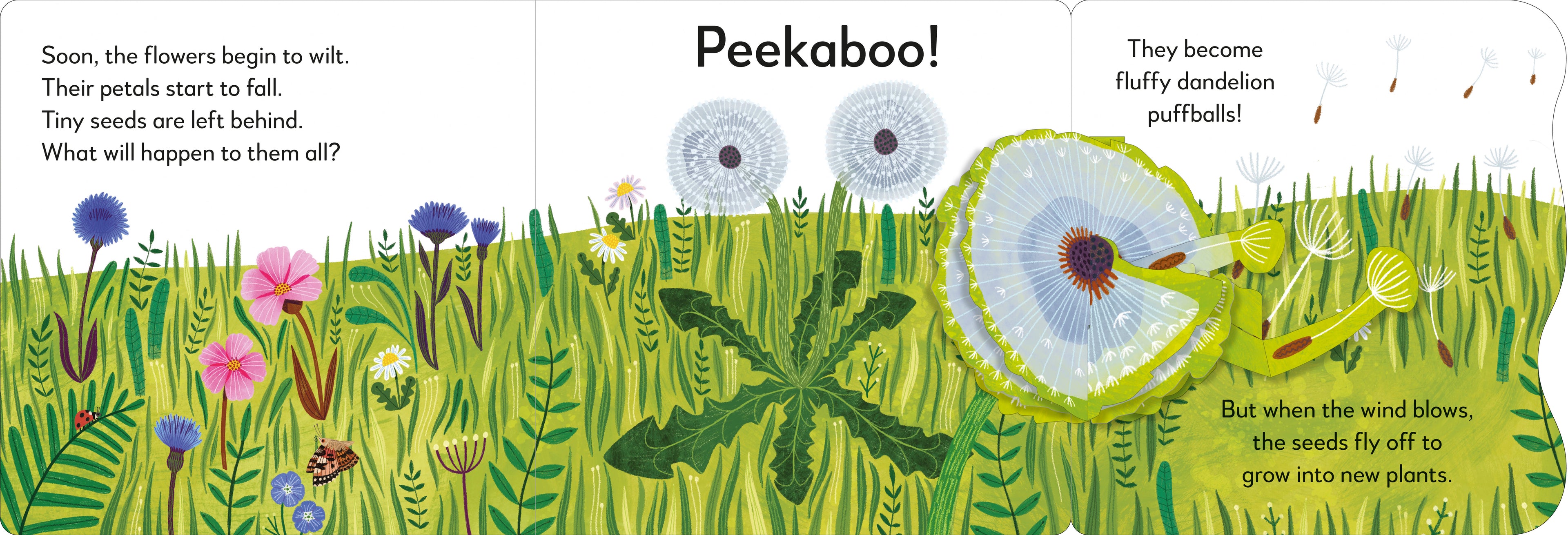 Pop-Up Peekaboo! Flower-Spread, Image, (PRHC, Design, Do, Not, Use)-2