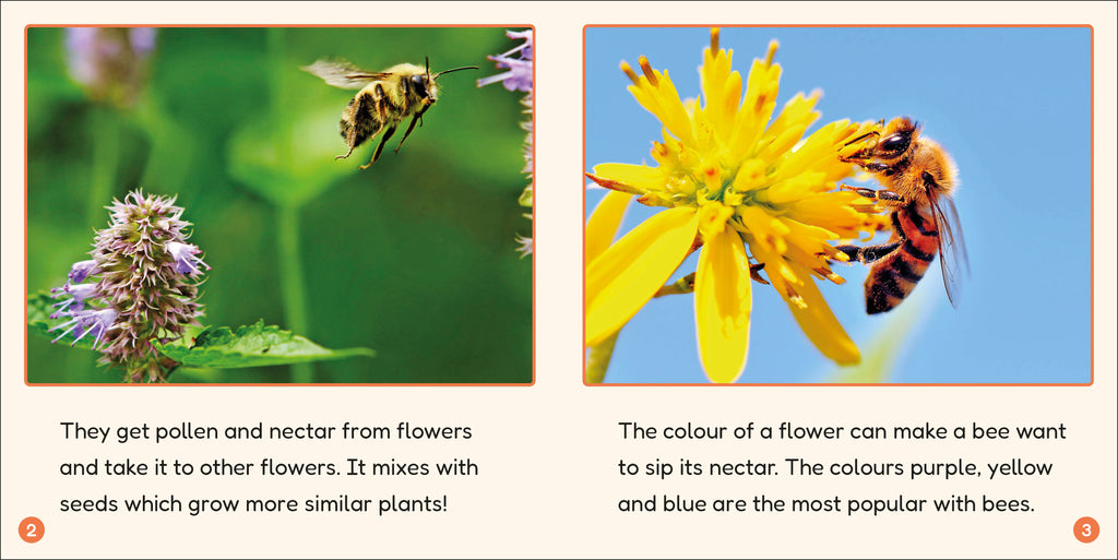 Phonic Books Lift Off Readers Low Frequency Spellings