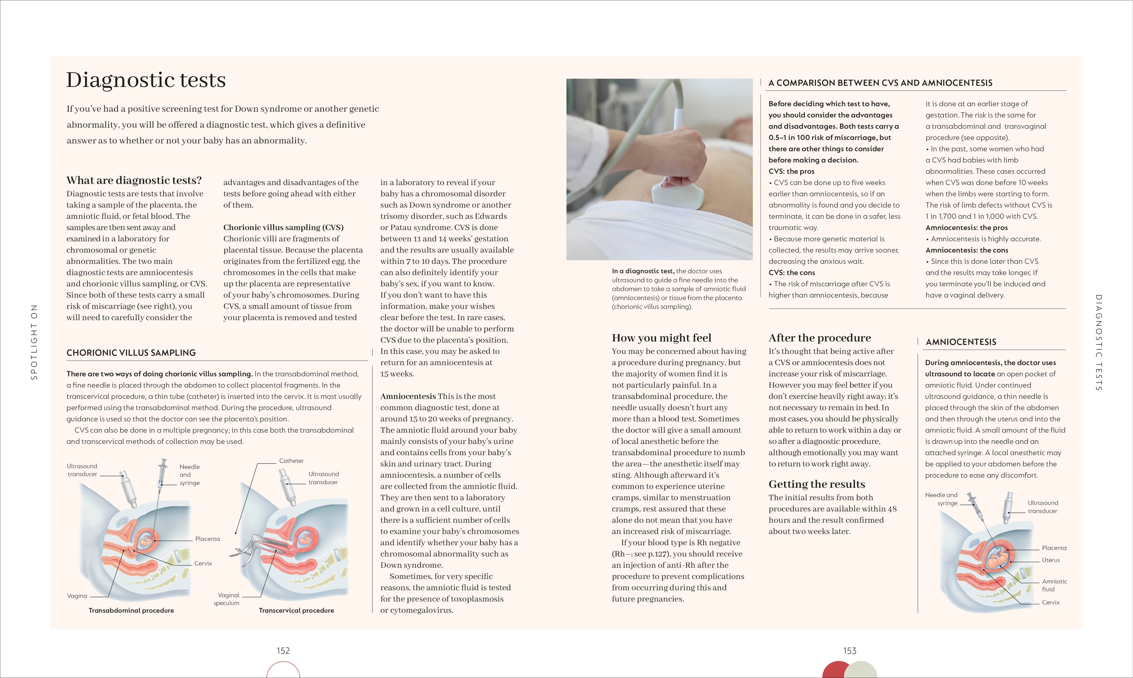 Pregnancy Day-by-Day-image