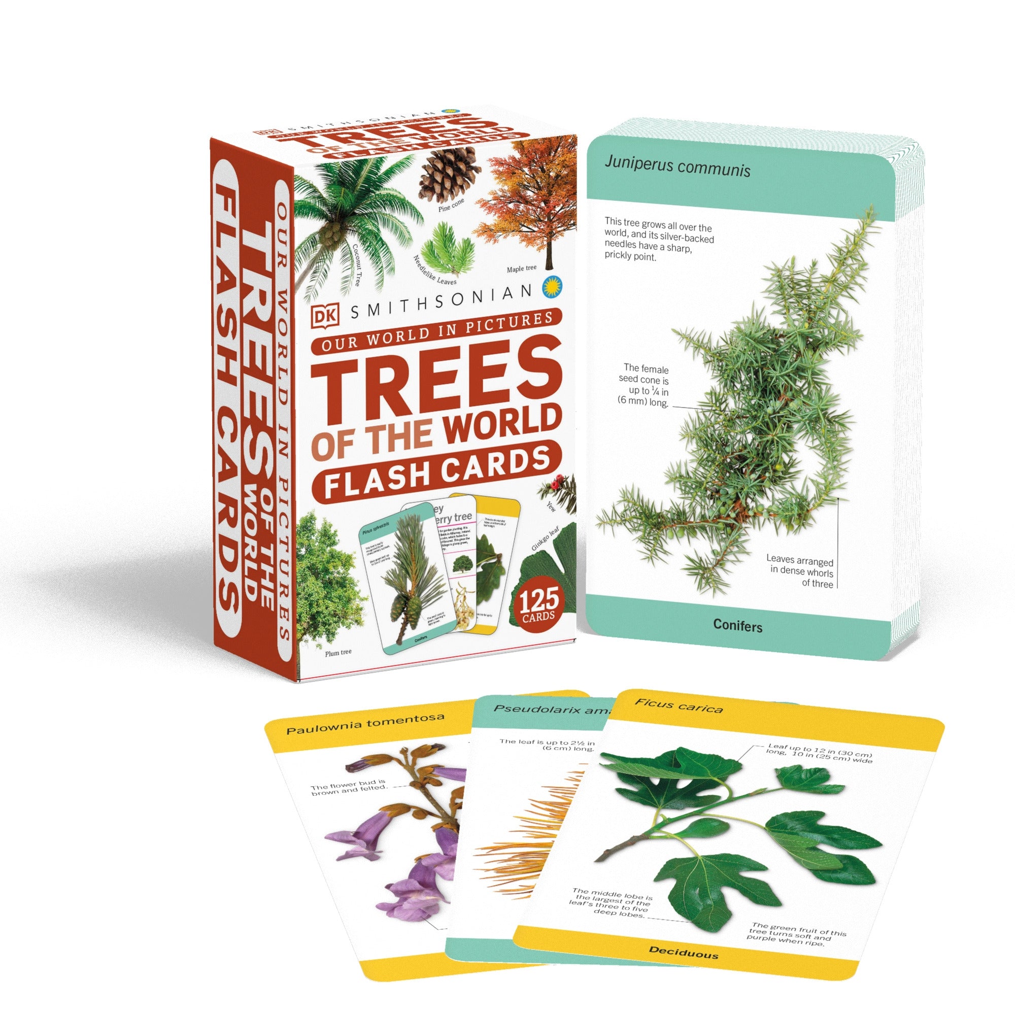 Our World in Pictures Trees of the World Flash Cards cover