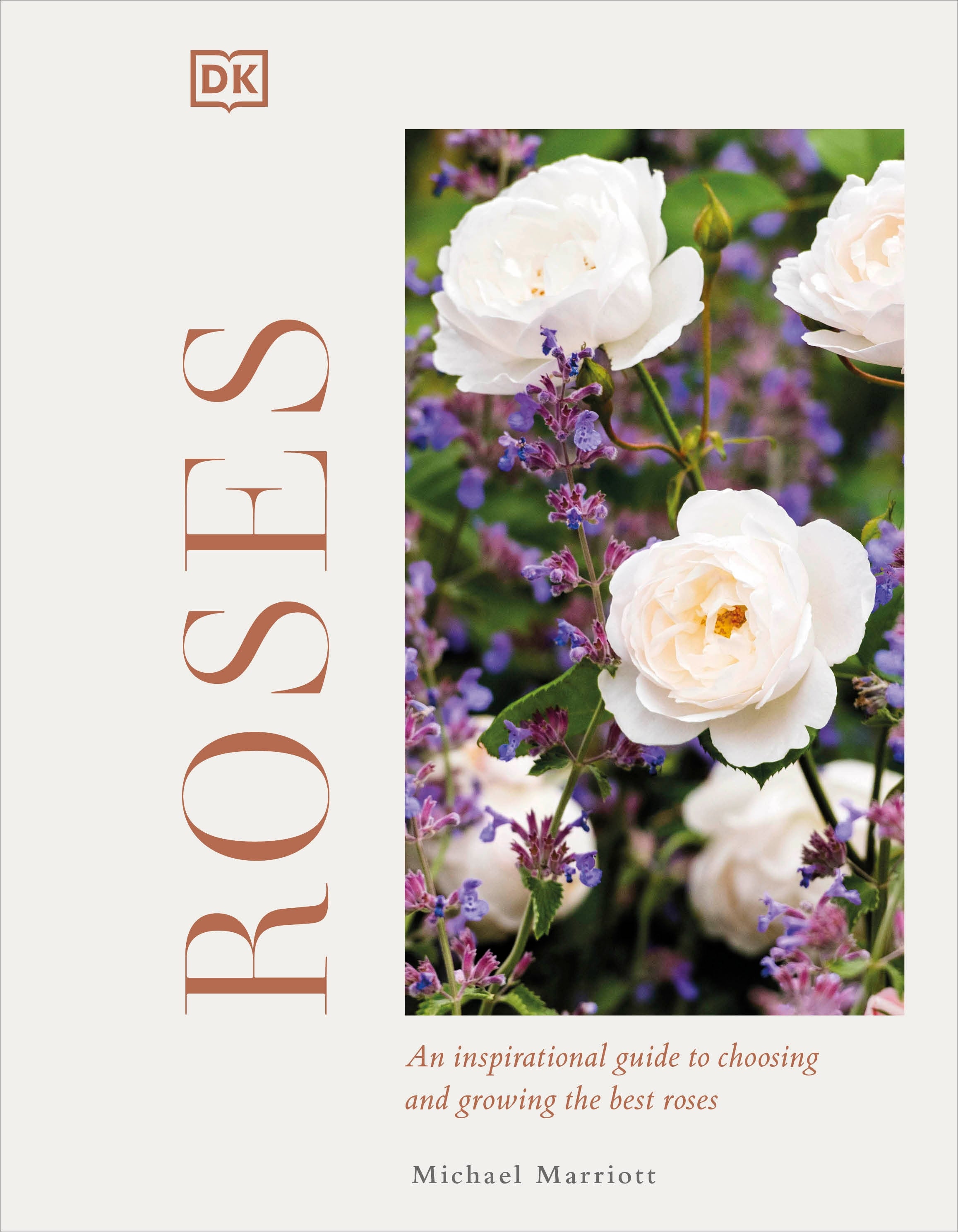Roses – DK