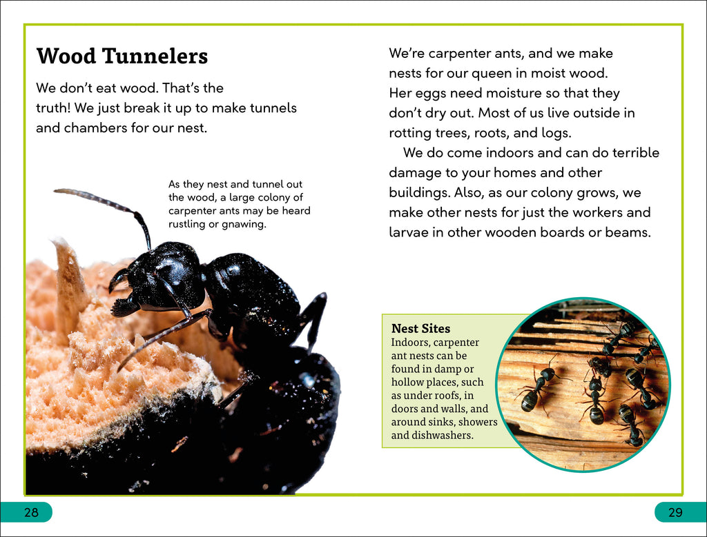 DK Super Readers Level 3 Ant Antics