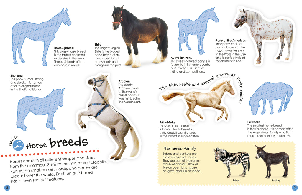 Horses and Ponies Ultimate Sticker Book