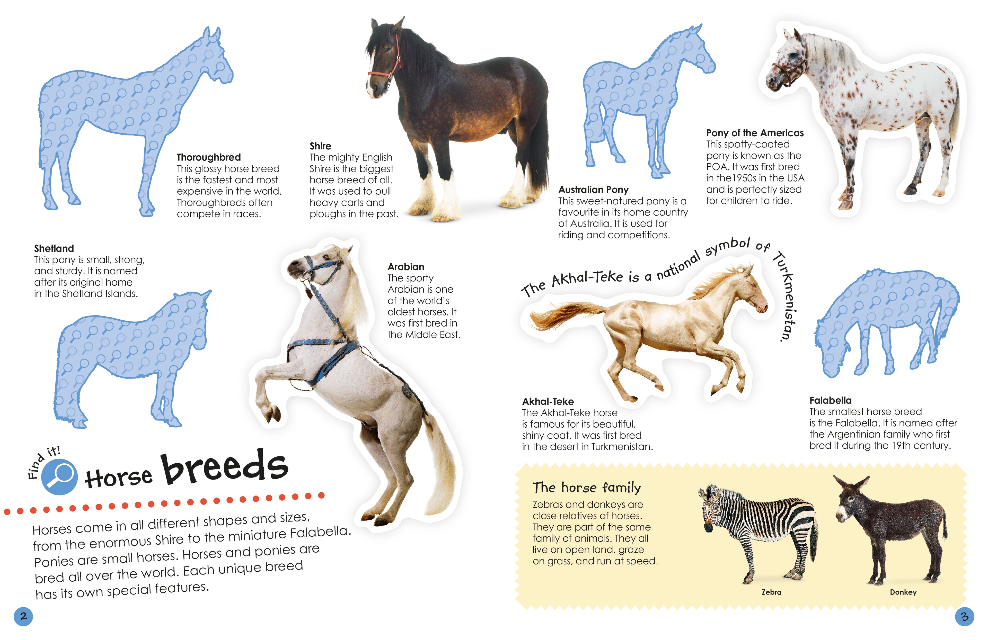 Horses and Ponies Ultimate Sticker Book