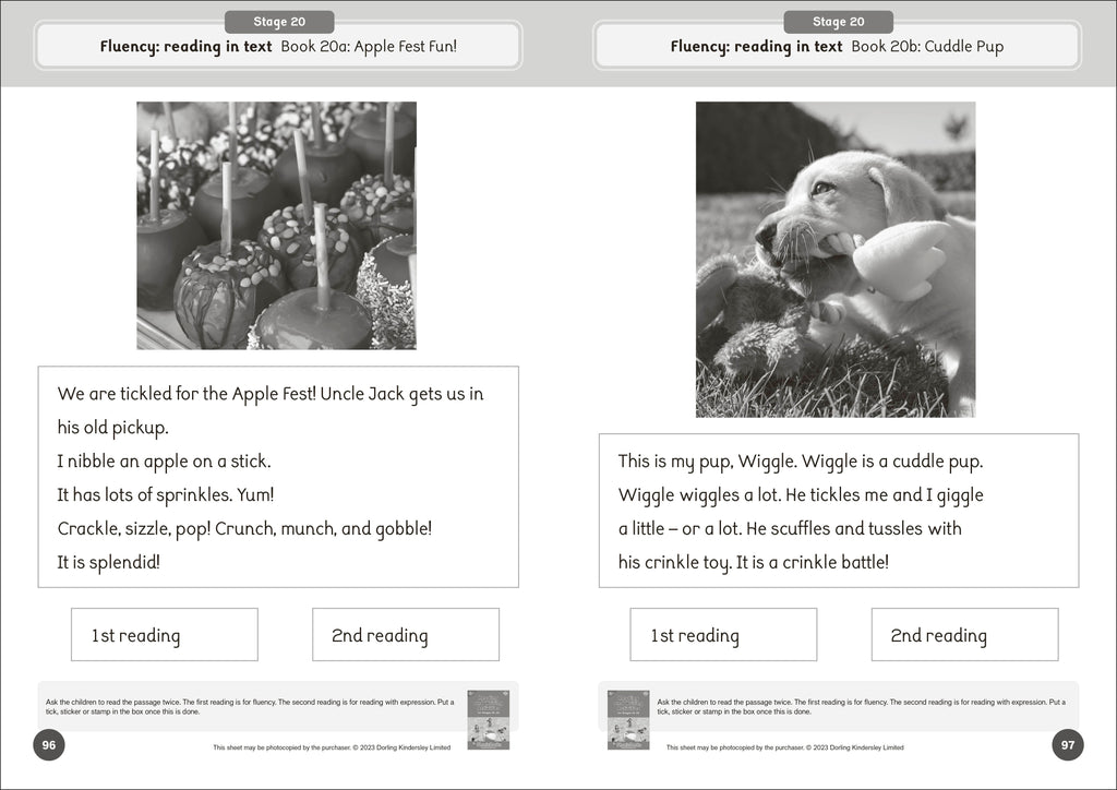 Phonic Books Dandelion World Reading and Writing Activities for Stages 16-20