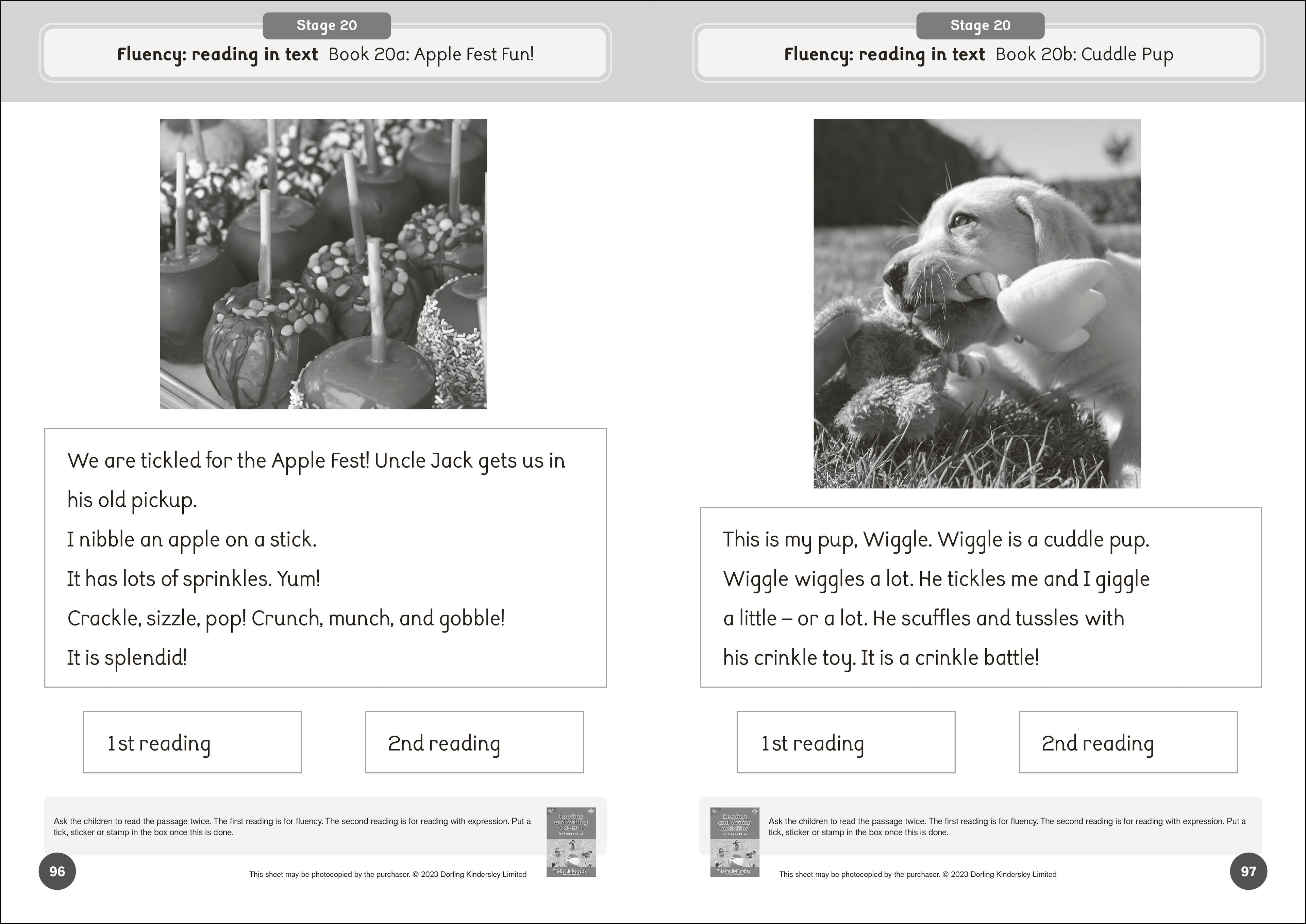 Phonic Books Dandelion World Reading and Writing Activities for Stages 16-20