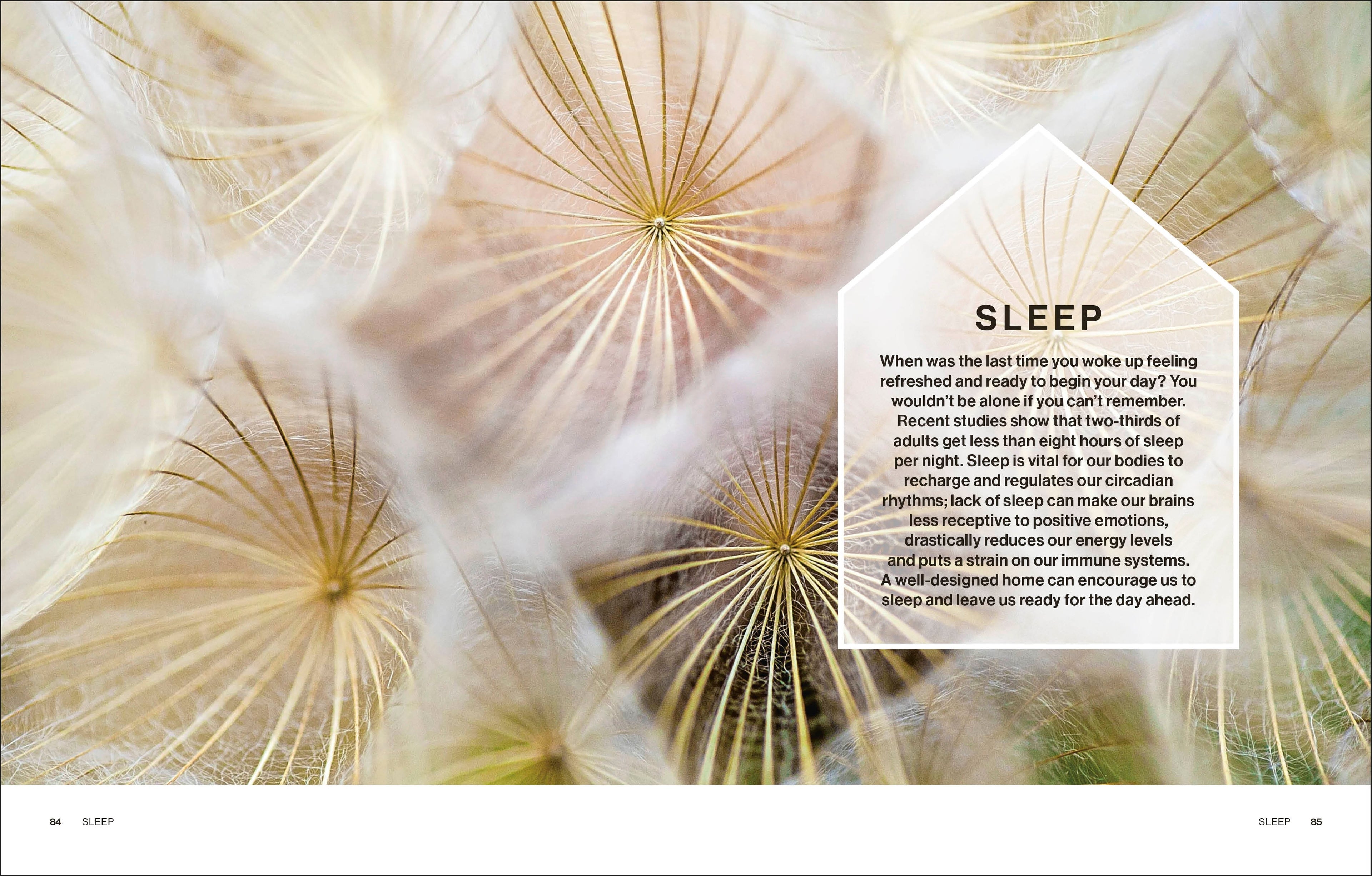 Design A Healthy Home