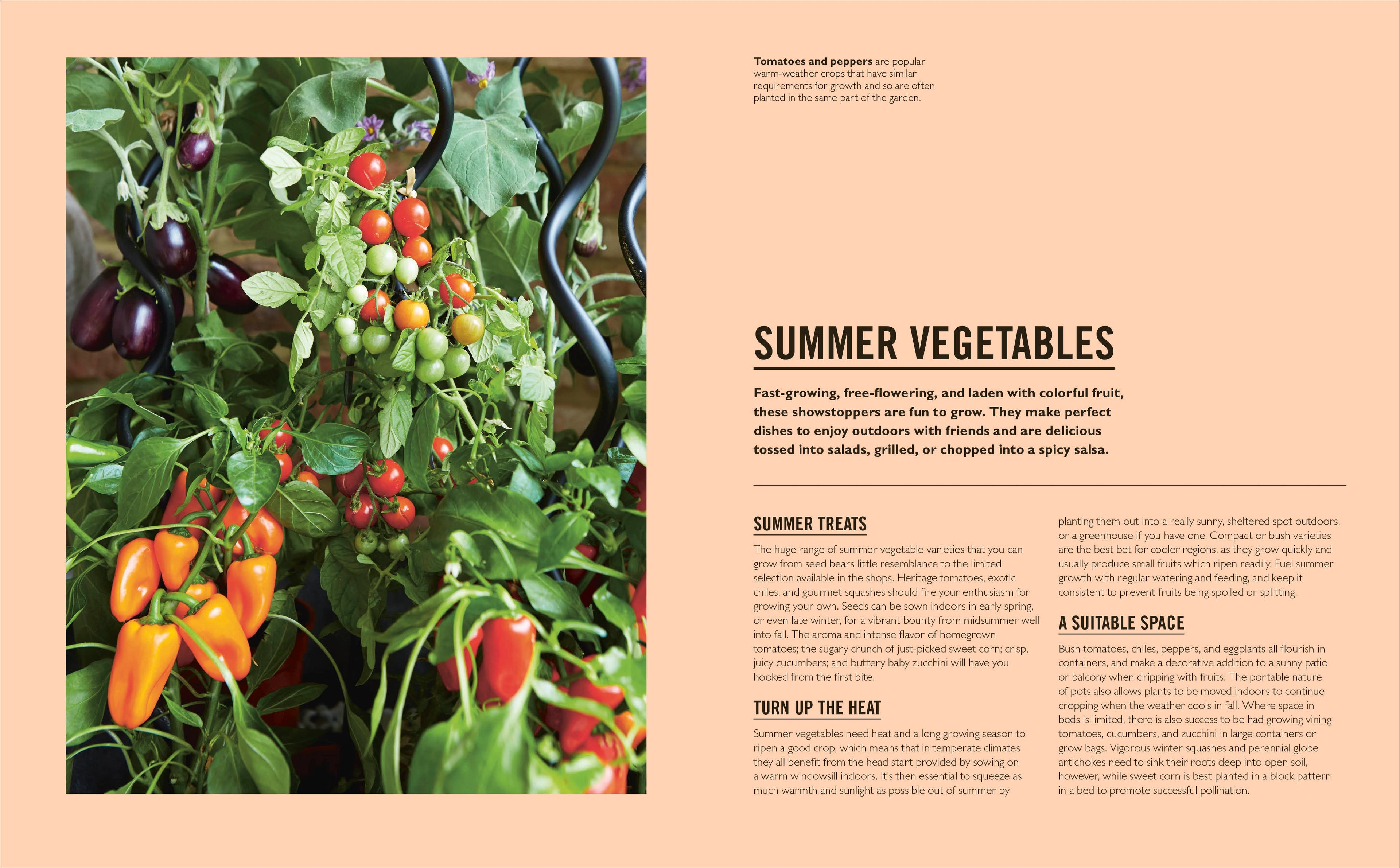 Grow Easy Vegetables