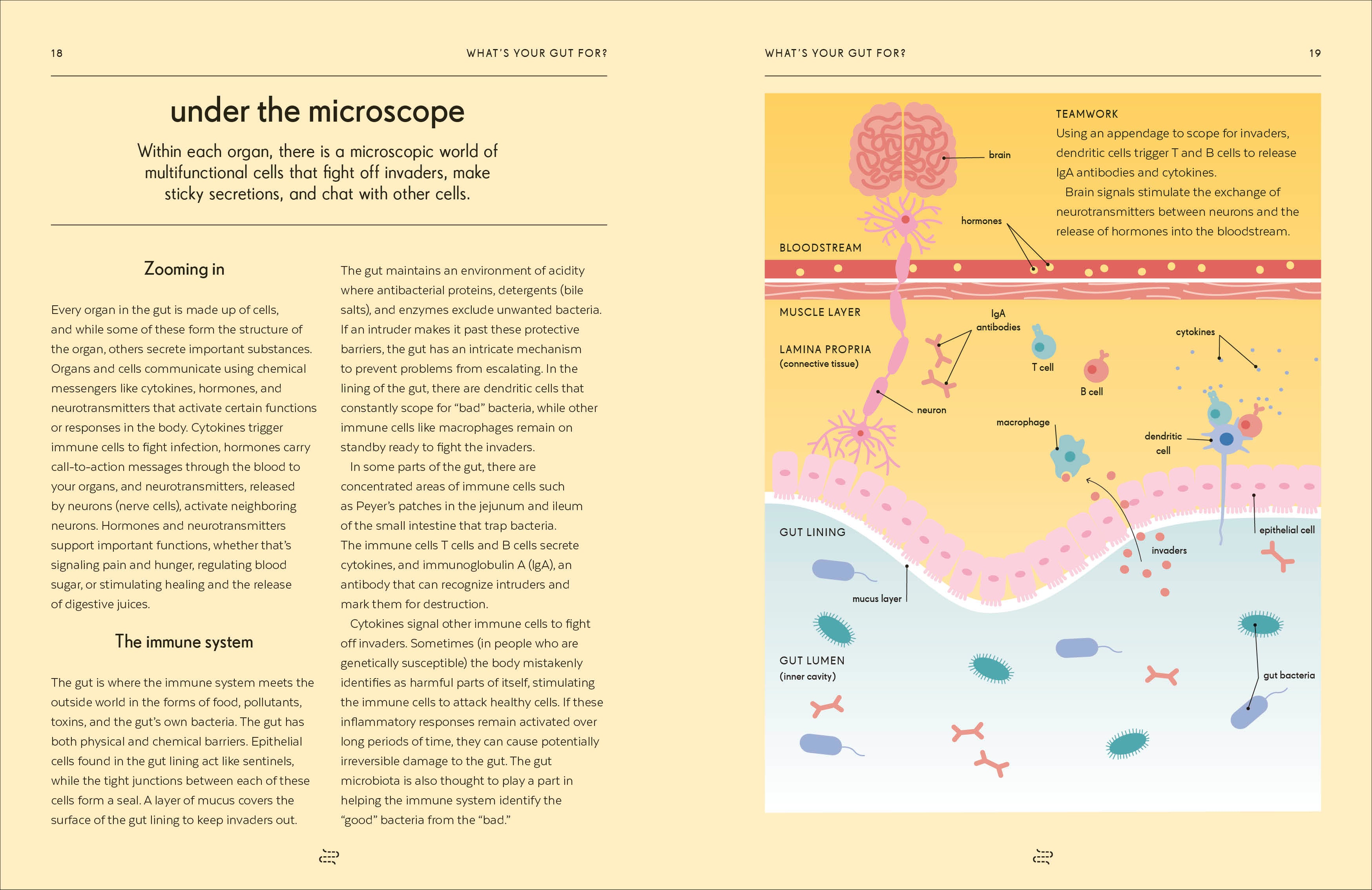 Gut-Spread, Image, (PRHC, Design, Do, Not, Use)-3