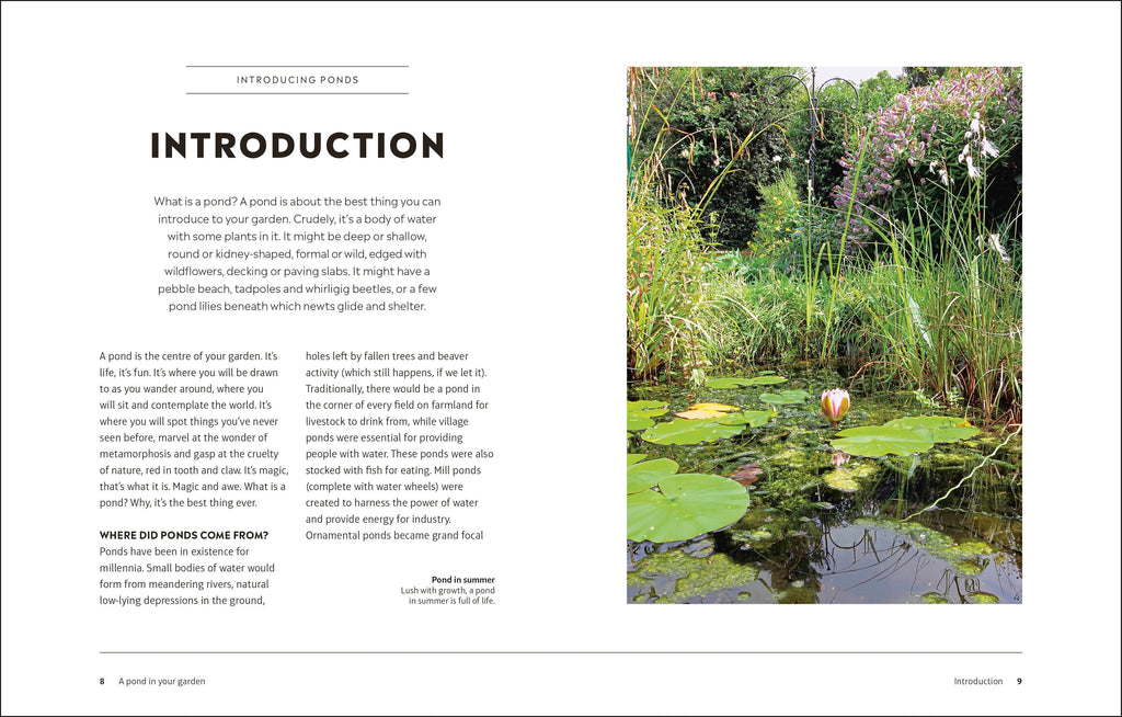 RHS How to Create a Wildlife Pond