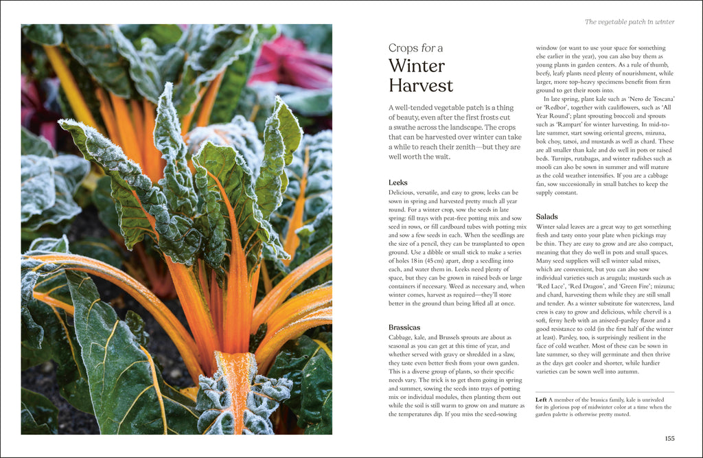 The Winter Garden-image