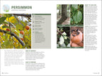Foraging-Spread, Image, (PRHC, Design, Do, Not, Use)-3