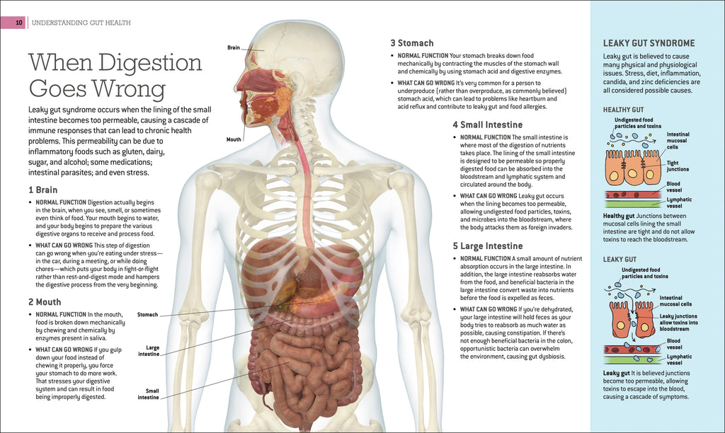 Healthy Gut Cookbook