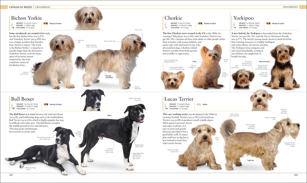 The Dog Encyclopedia-image