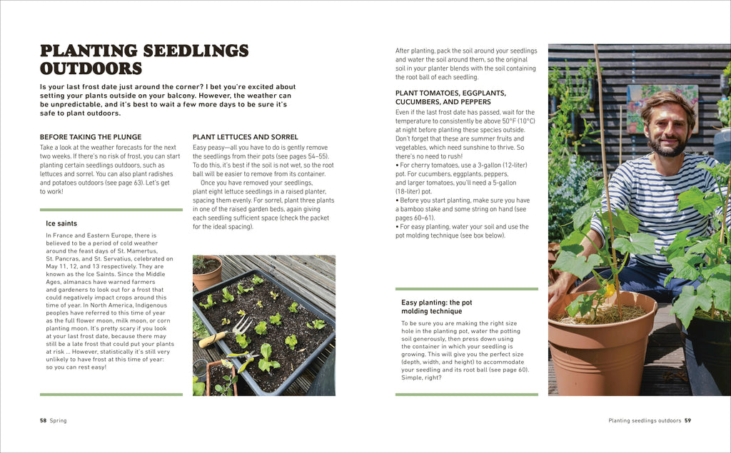 Tomatoes and Basil on the 5th Floor (The Frenchie Gardener)-Spread, Image, (PRHC, Design, Do, Not, Use)-5