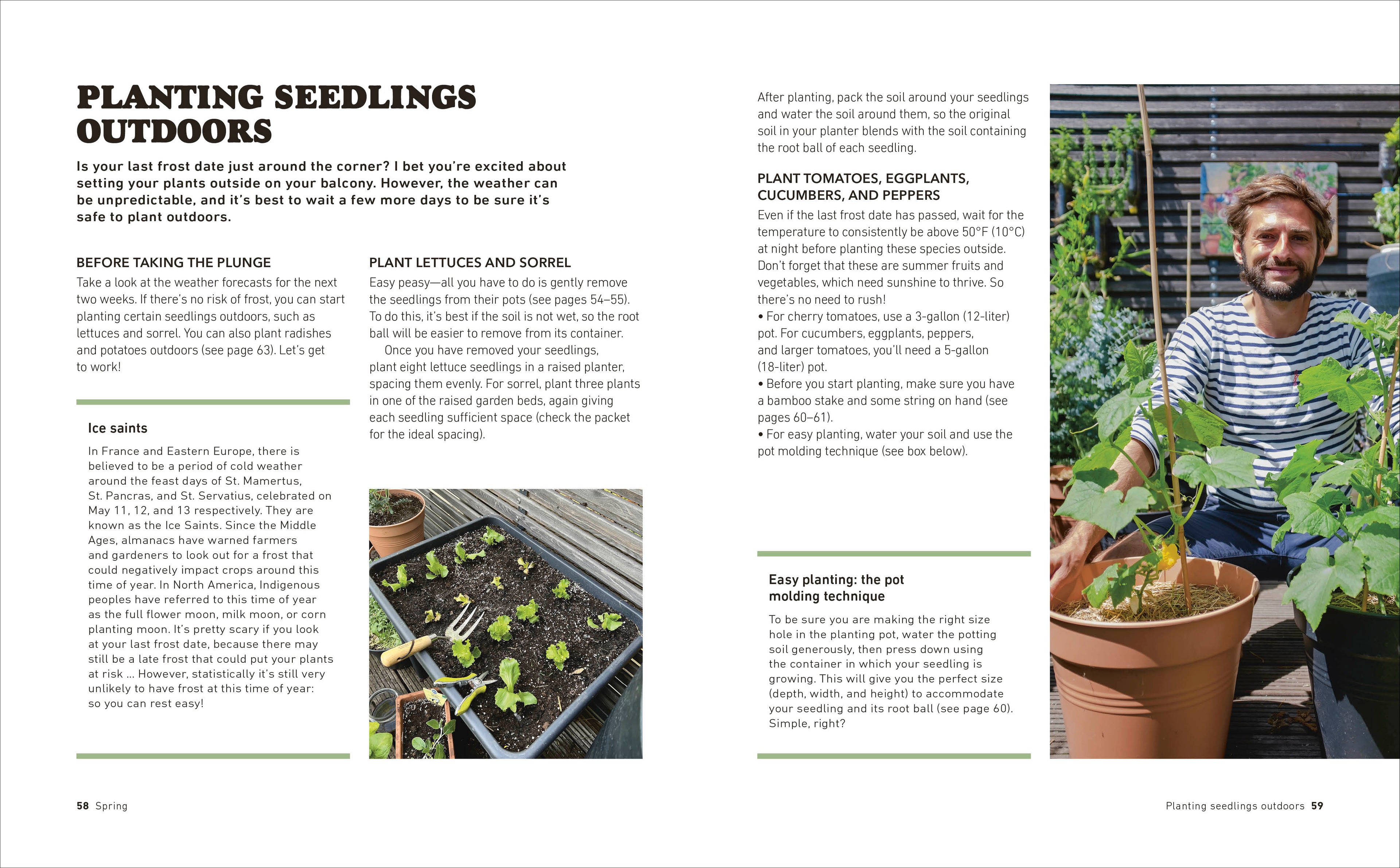 Tomatoes and Basil on the 5th Floor (The Frenchie Gardener)-Spread, Image, (PRHC, Design, Do, Not, Use)-5