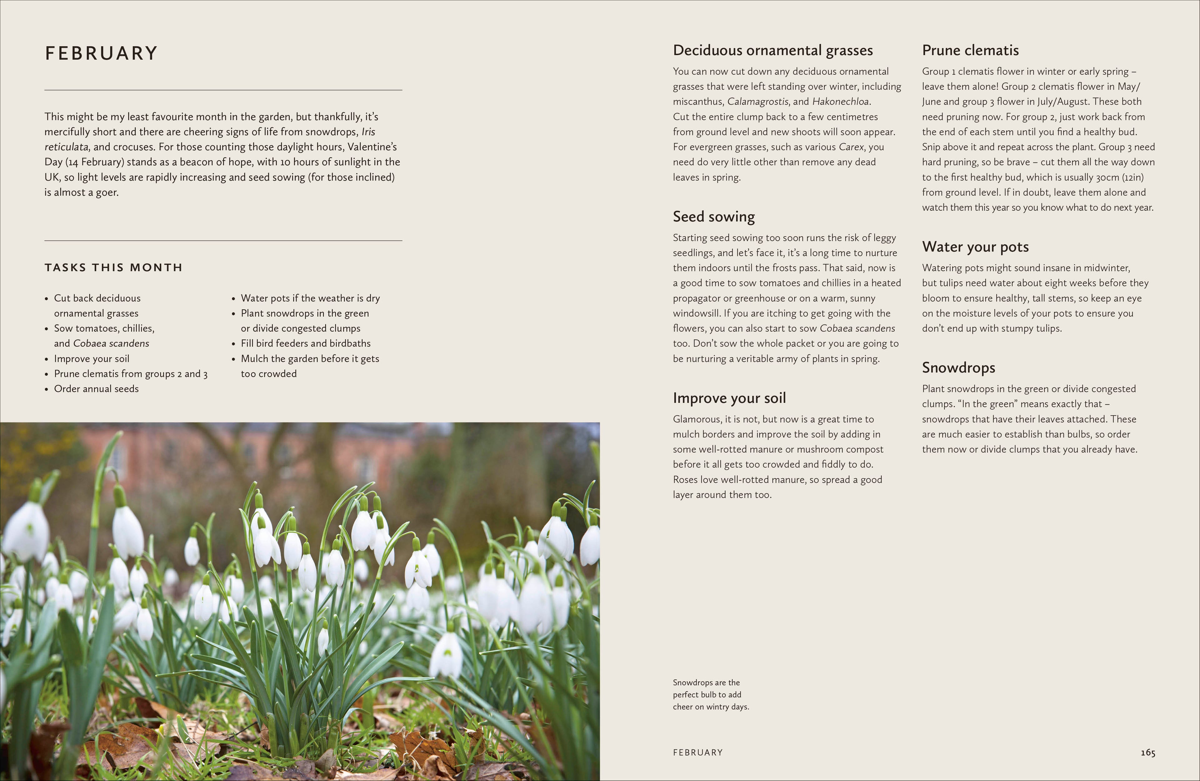 How to Design a Garden-Spread, Image, (PRHC, Design, Do, Not, Use)-6