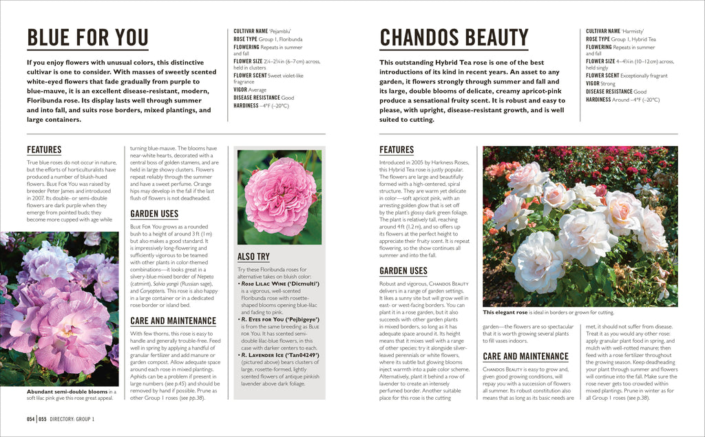 Grow Roses-Spread, Image, (PRHC, Design, Do, Not, Use)-5