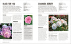 Grow Roses-Spread, Image, (PRHC, Design, Do, Not, Use)-5