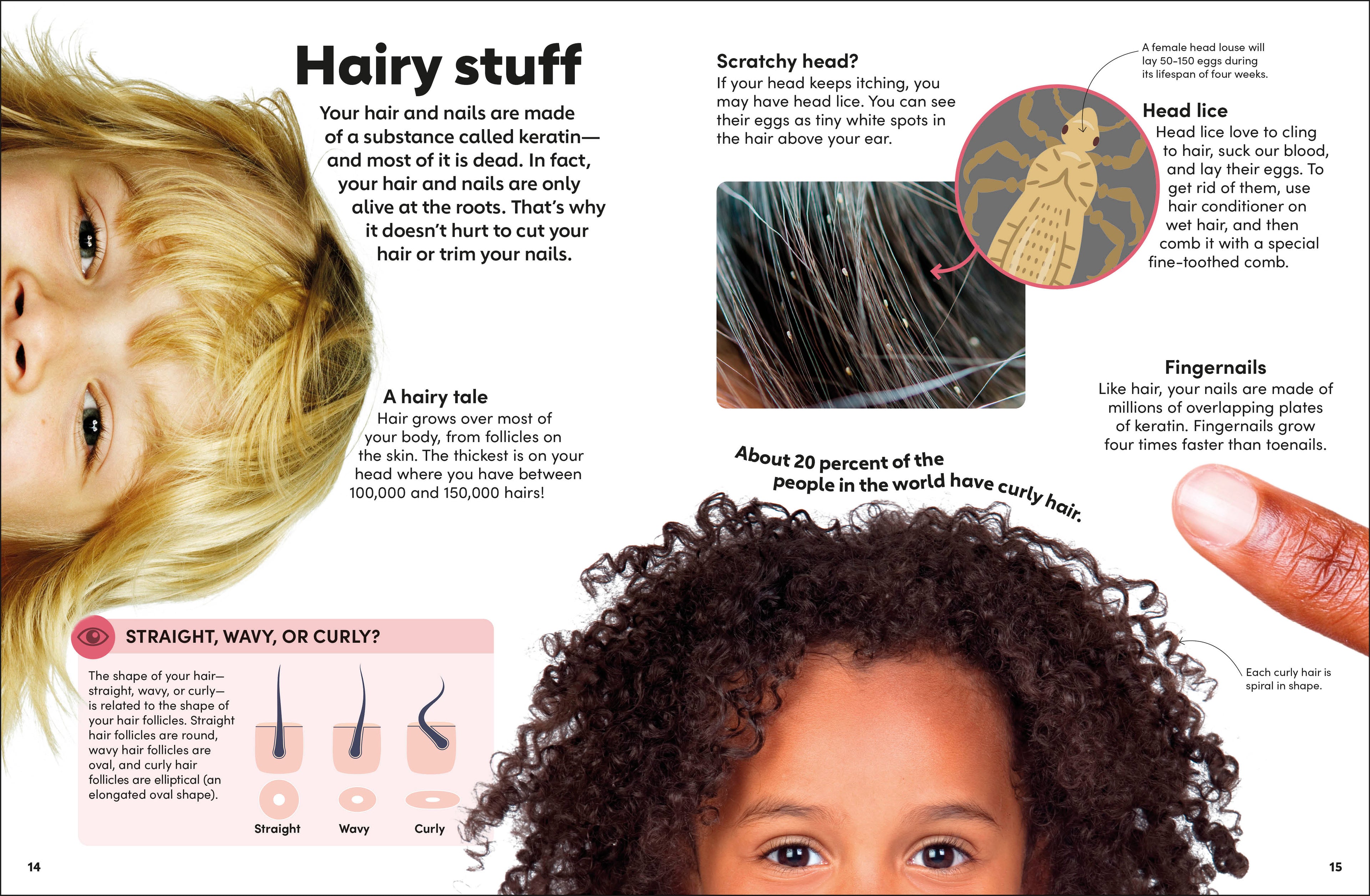 Eyewonder Human Body-Spread, Image, (PRHC, Design, Do, Not, Use)-1