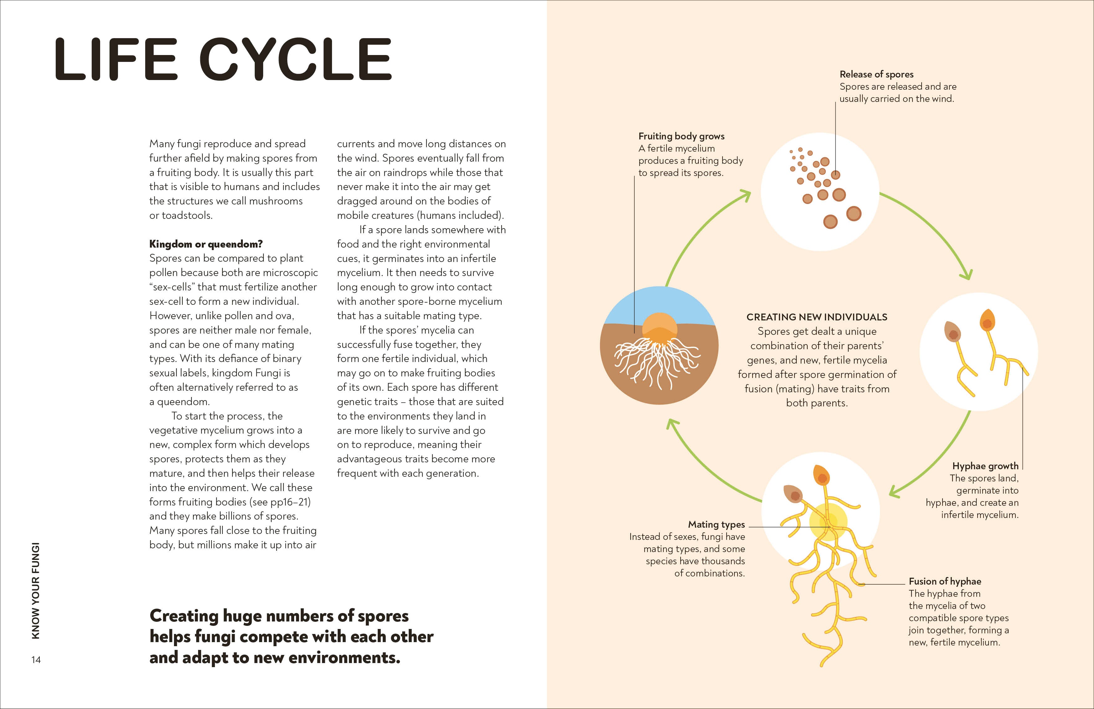 RHS Fungi for Gardeners-Spread, Image, (PRHC, Design, Do, Not, Use)-2