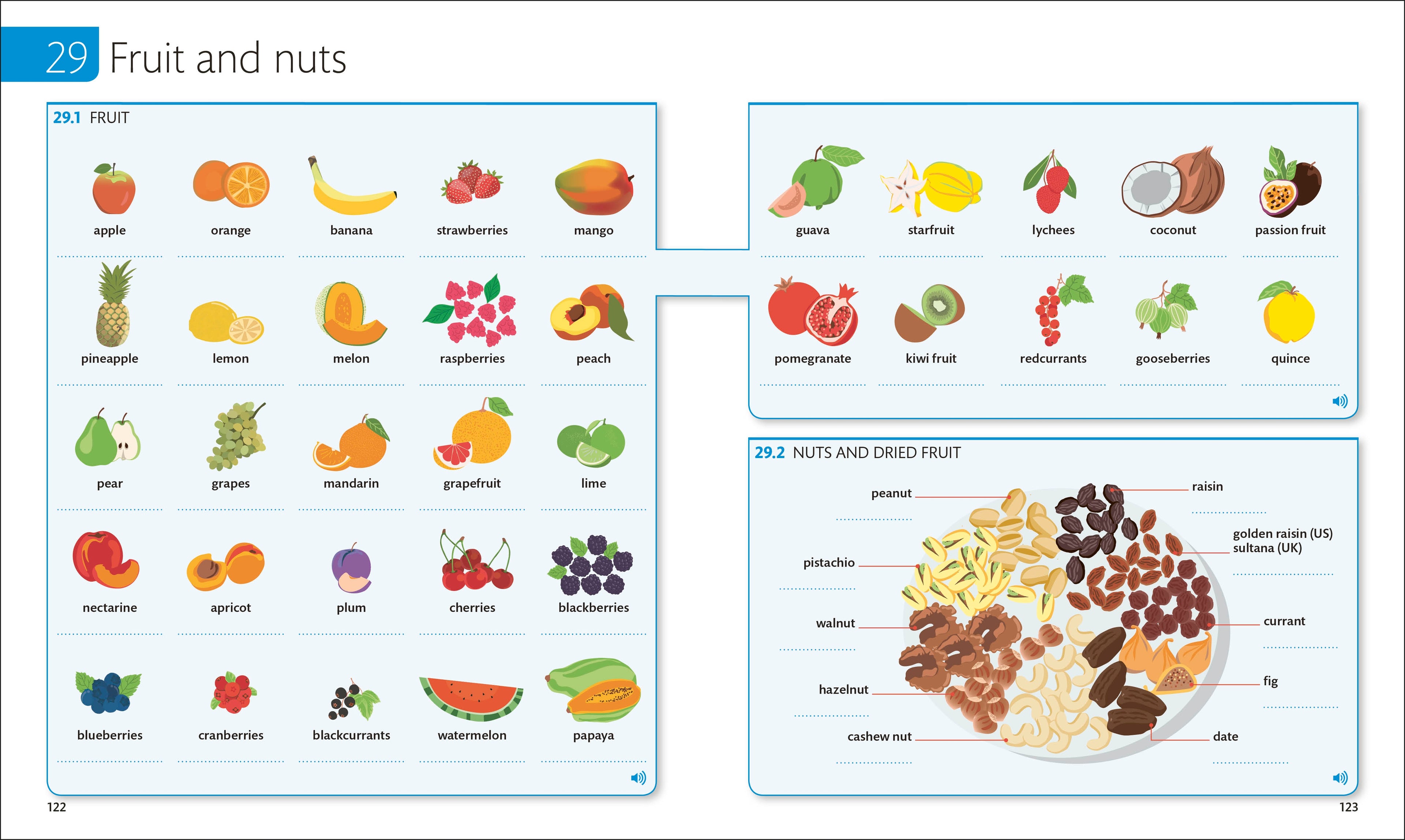 English for Everyone English Vocabulary Builder