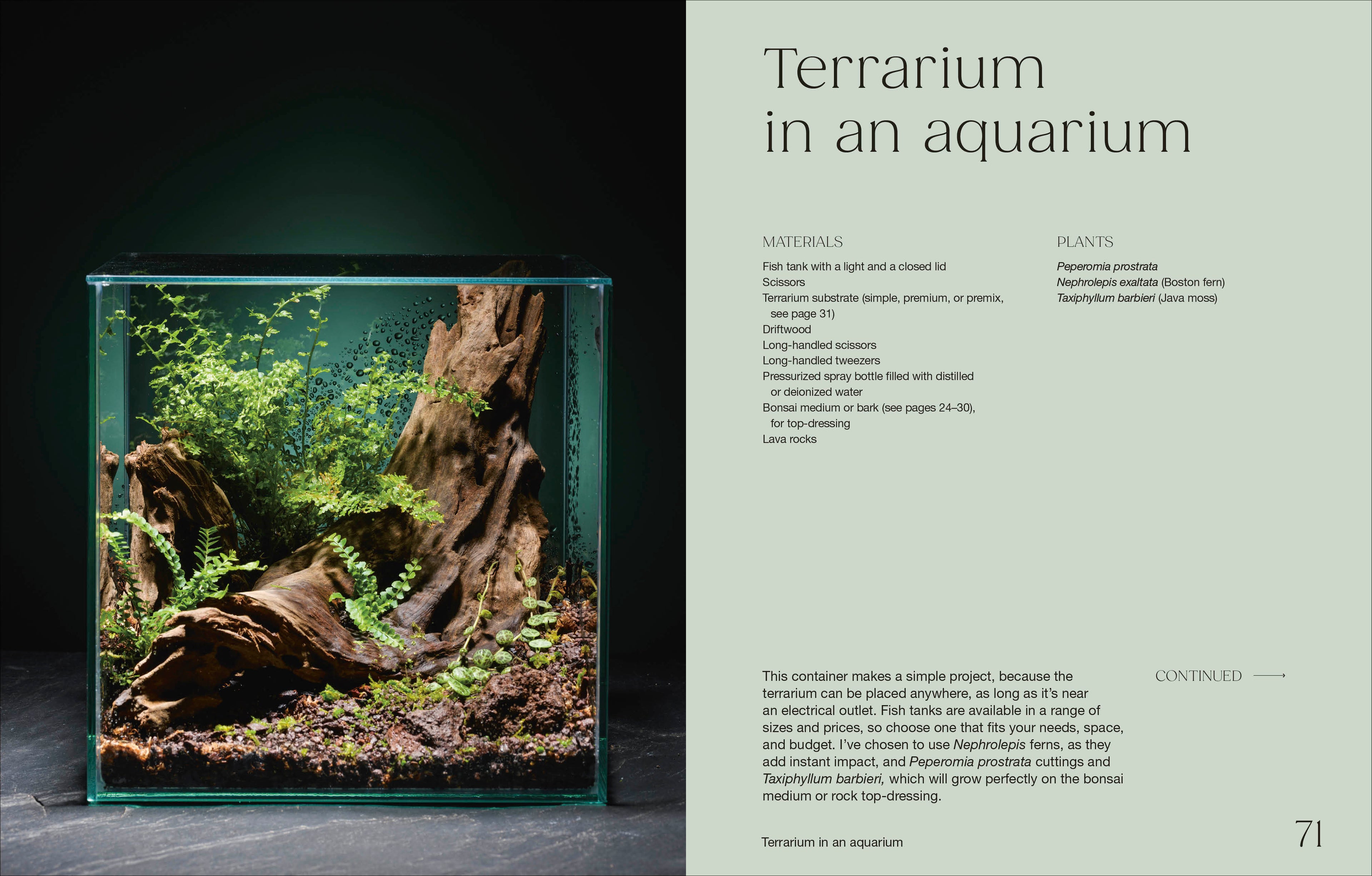 Hello Tiny World-Spread, Image, (PRHC, Design, Do, Not, Use)-3