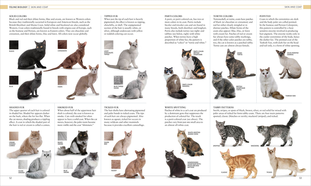 The Cat Encyclopedia-Spread, Image, (PRHC, Design, Do, Not, Use)-1
