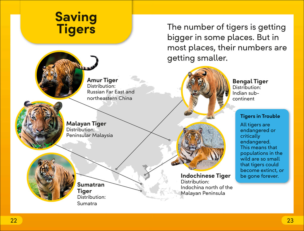 DK Super Readers Level 2 Save the Tigers