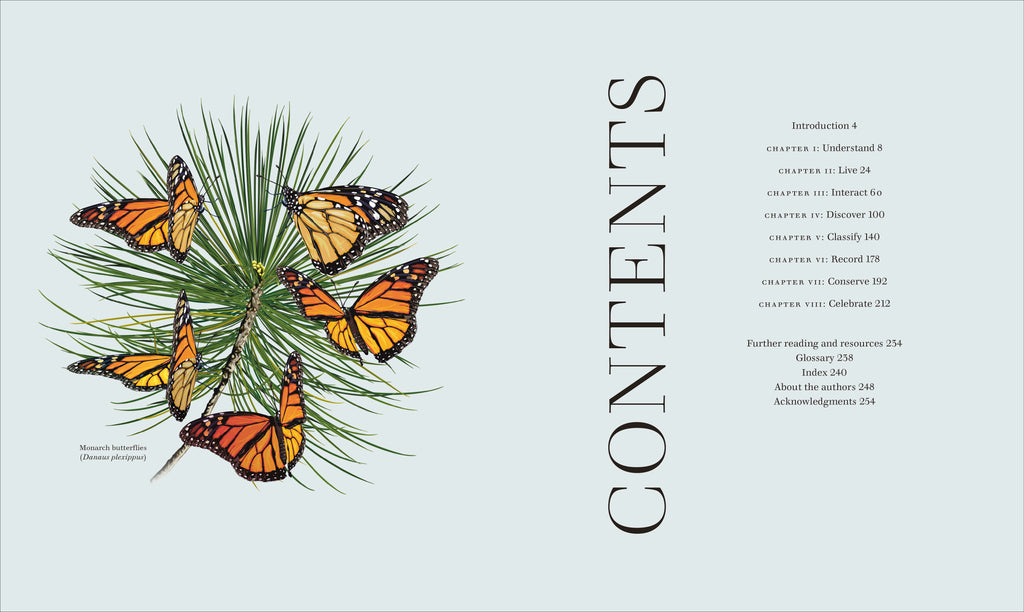 Insects-Spread, Image, (PRHC, Design, Do, Not, Use)-1