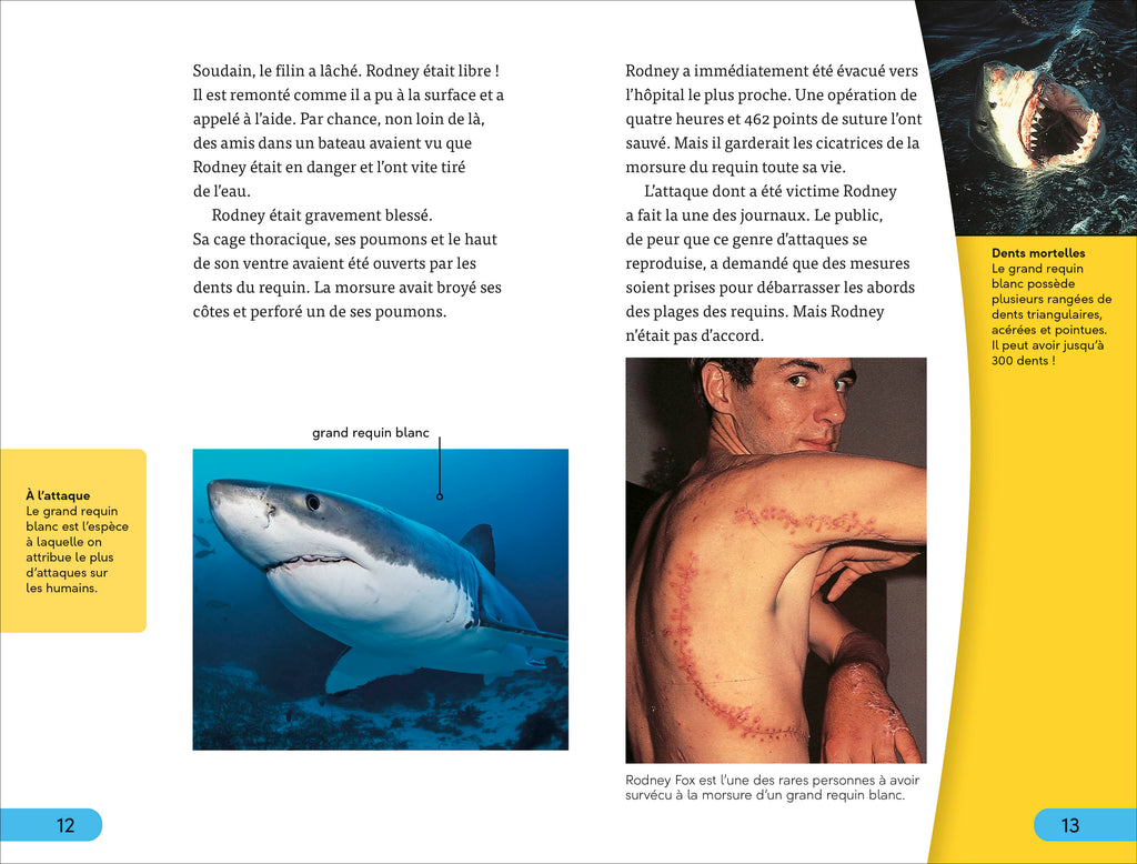 DK Super Readers Level 4 French translation Shark Attack - Danger : Requins-Spread, Image, (PRHC, Design, Do, Not, Use)-3