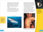 DK Super Readers Level 4 French translation Shark Attack - Danger : Requins-Spread, Image, (PRHC, Design, Do, Not, Use)-3
