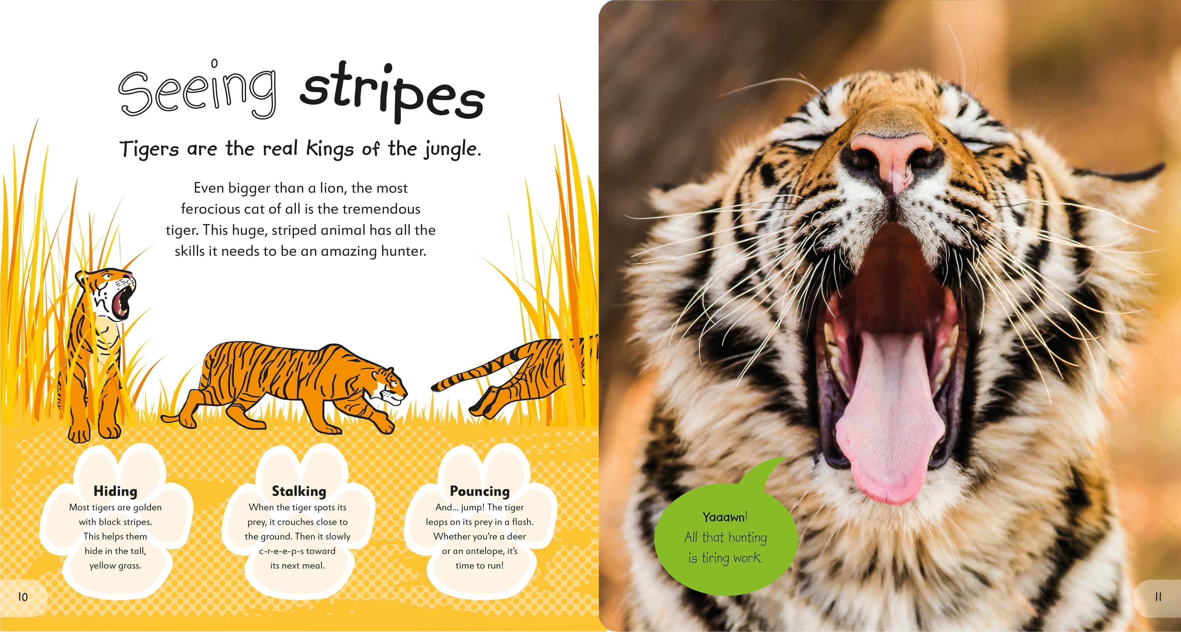 The Incredible Fold-Out Book of Animals