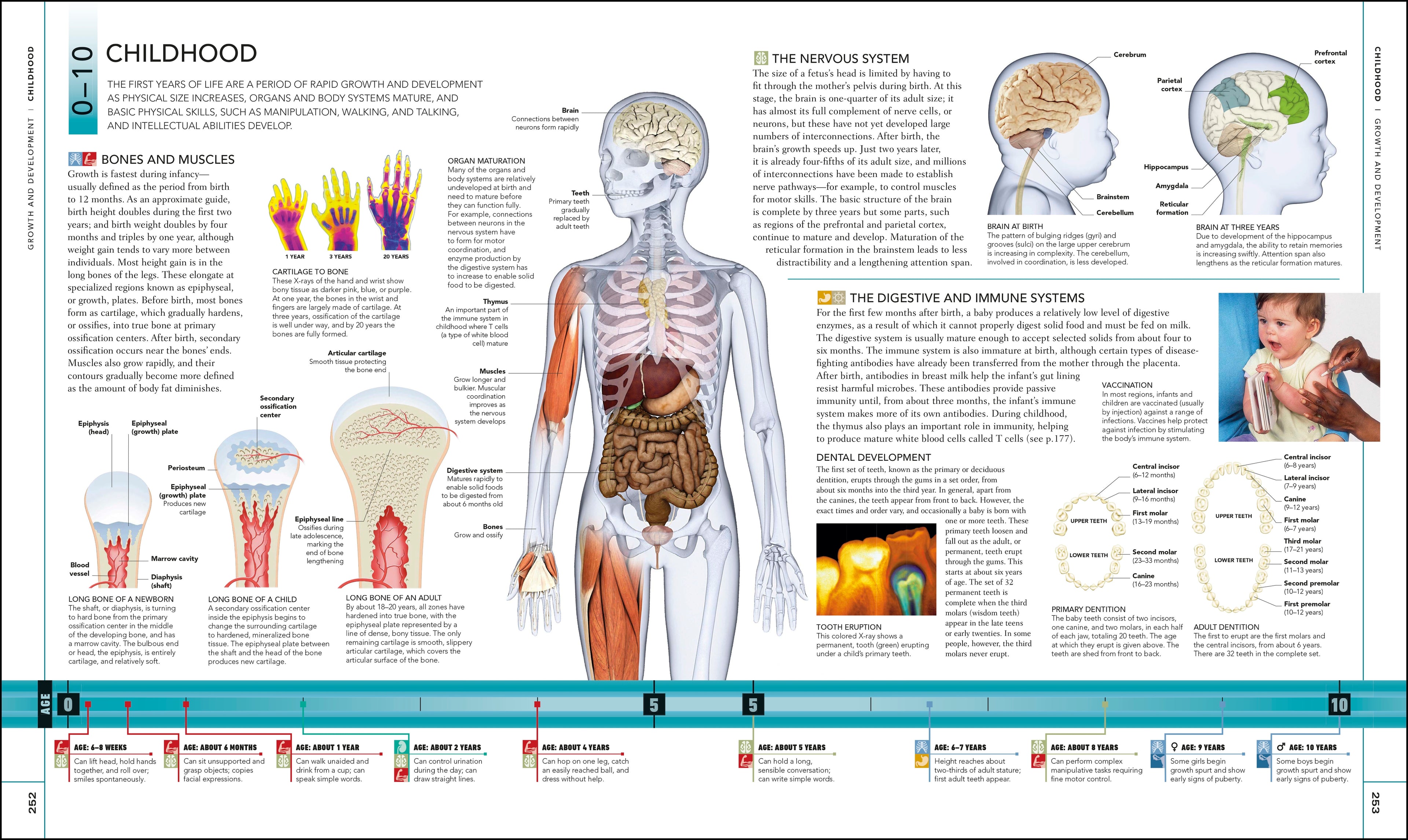 The Human Body Book